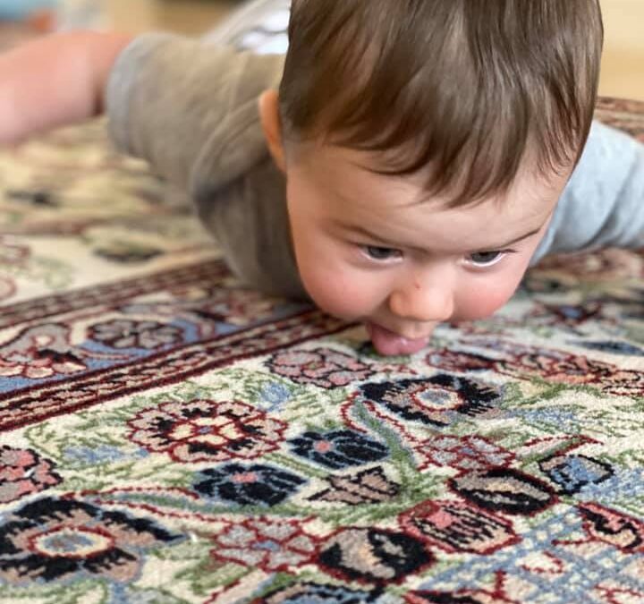 Say Goodbye to Odor and Contamination: Guaranteed Rug Cleaning at Mussallem Rugs